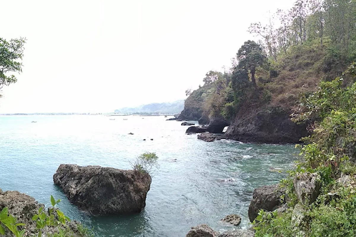 pantai wedi putih: keindahan pasir putih di pinggir laut