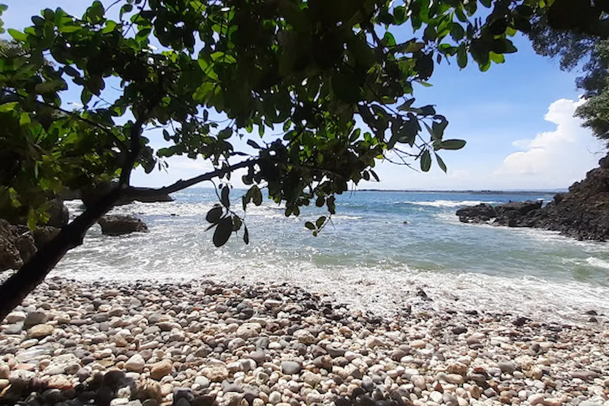 pantai wedi putih: keindahan pasir putih di pinggir laut