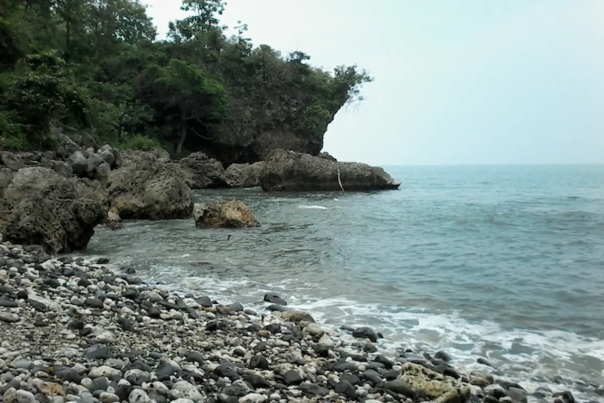 Pantai Wedi Putih: Keindahan Pasir Putih di Pinggir Laut