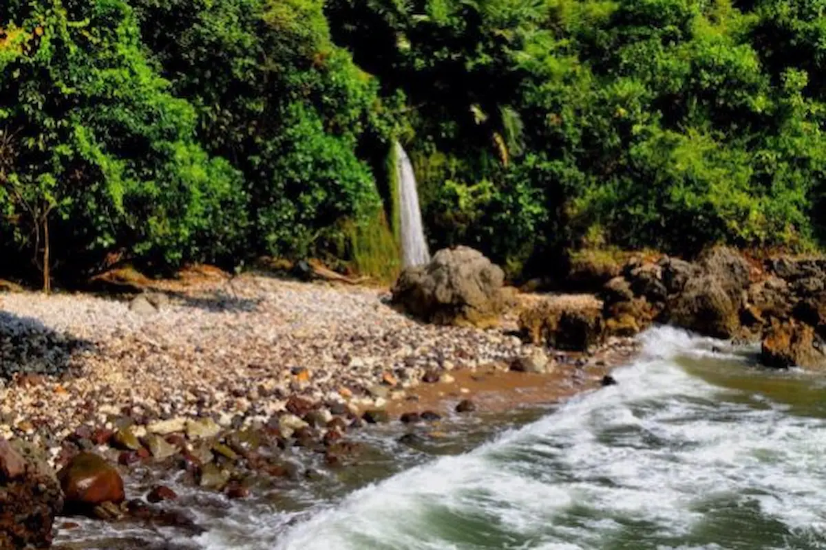 pantai wedi putih: keindahan pasir putih di pinggir laut
