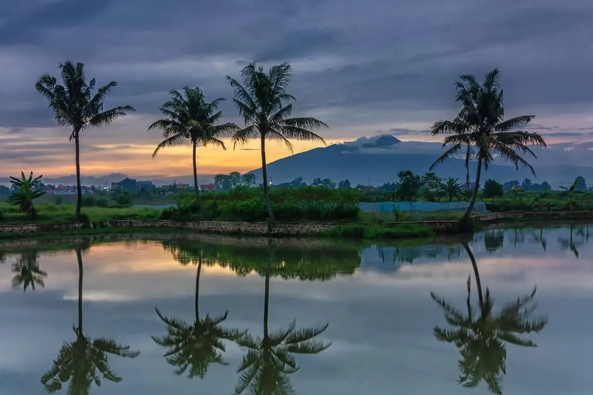 rekomendasi 15 tempat wisata di bogor dekat ipb untuk melepas penat