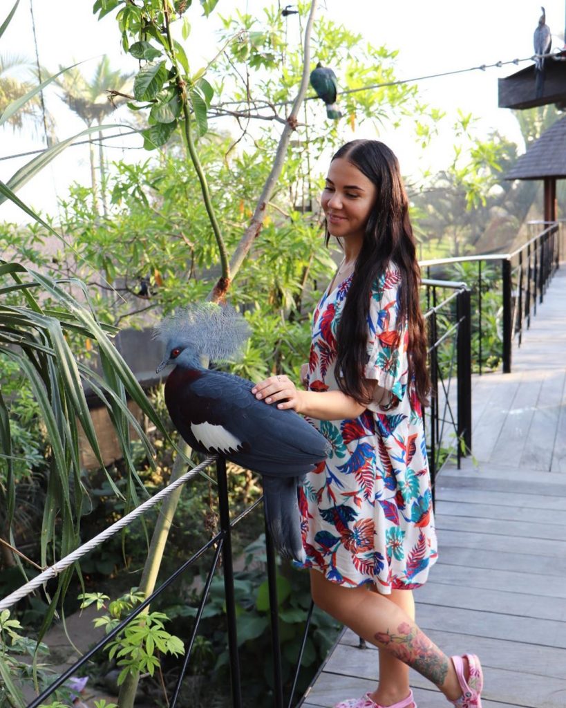bali, bali bird park, gianyar, review, lokasi, dan harga tiket masuk bali bird park