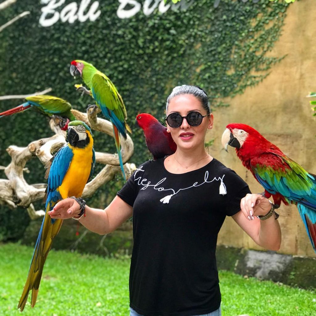 bali, bali bird park, gianyar, review, lokasi, dan harga tiket masuk bali bird park