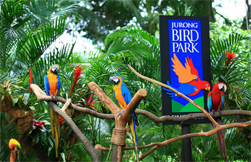 bali, bali bird park, gianyar, review, lokasi, dan harga tiket masuk bali bird park