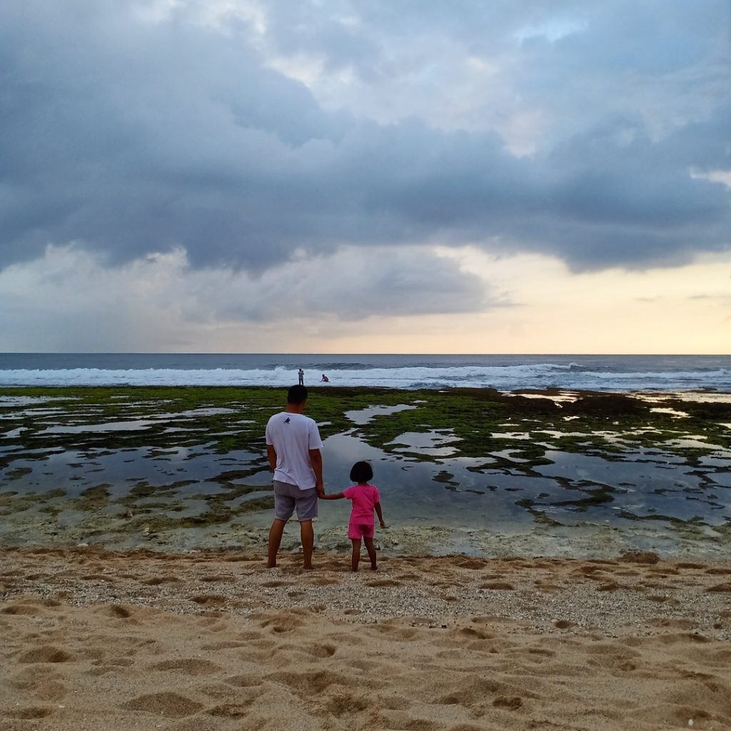 gunungkidul, jogja, pantai, pantai di gunungkidul, pantai di jogja, pantai sepanjang, pantai sepanjang jogja, yogyakarta, review, lokasi, dan tiket masuk pantai sepanjang jogja
