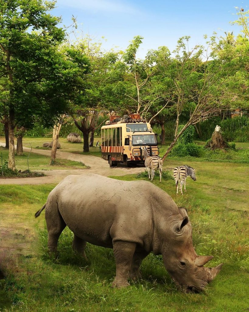 bali, bali safari and marine park, gianyar, review, lokasi, & harga tiket bali safari and marine park