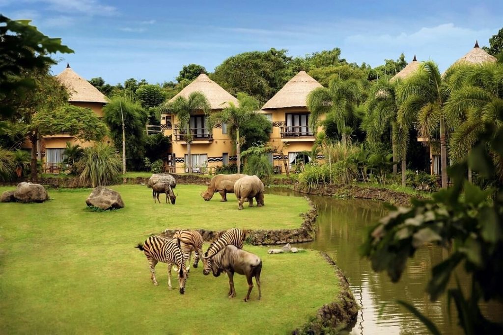 Review, Lokasi, & Harga Tiket Bali Safari And Marine Park