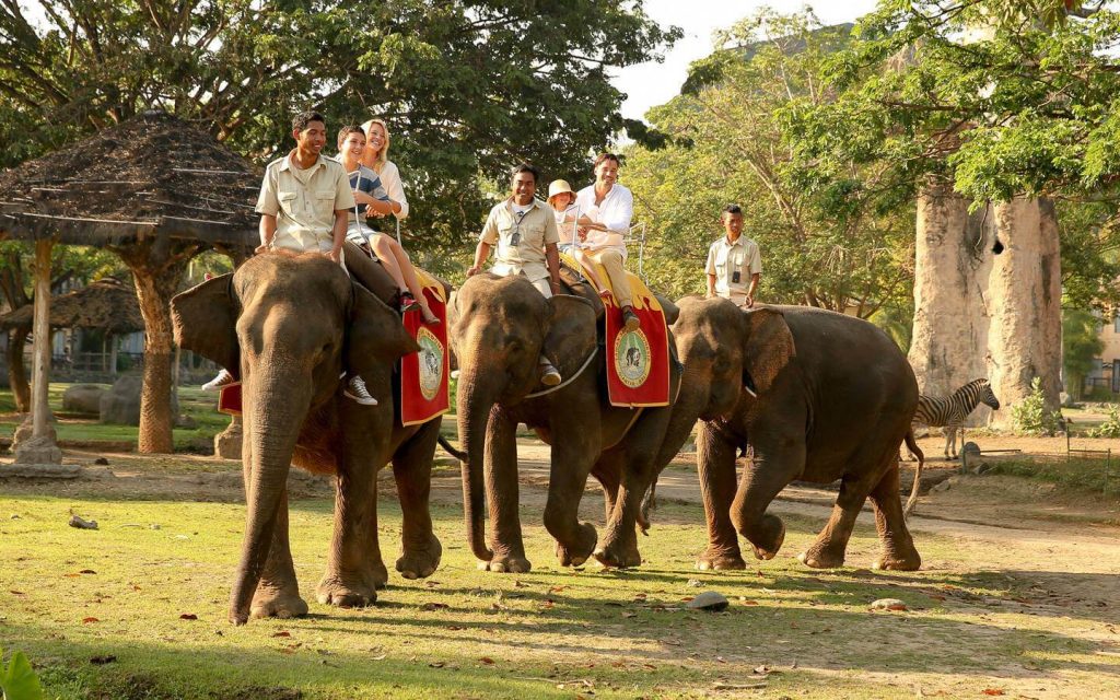 bali, bali safari and marine park, gianyar, review, lokasi, & harga tiket bali safari and marine park