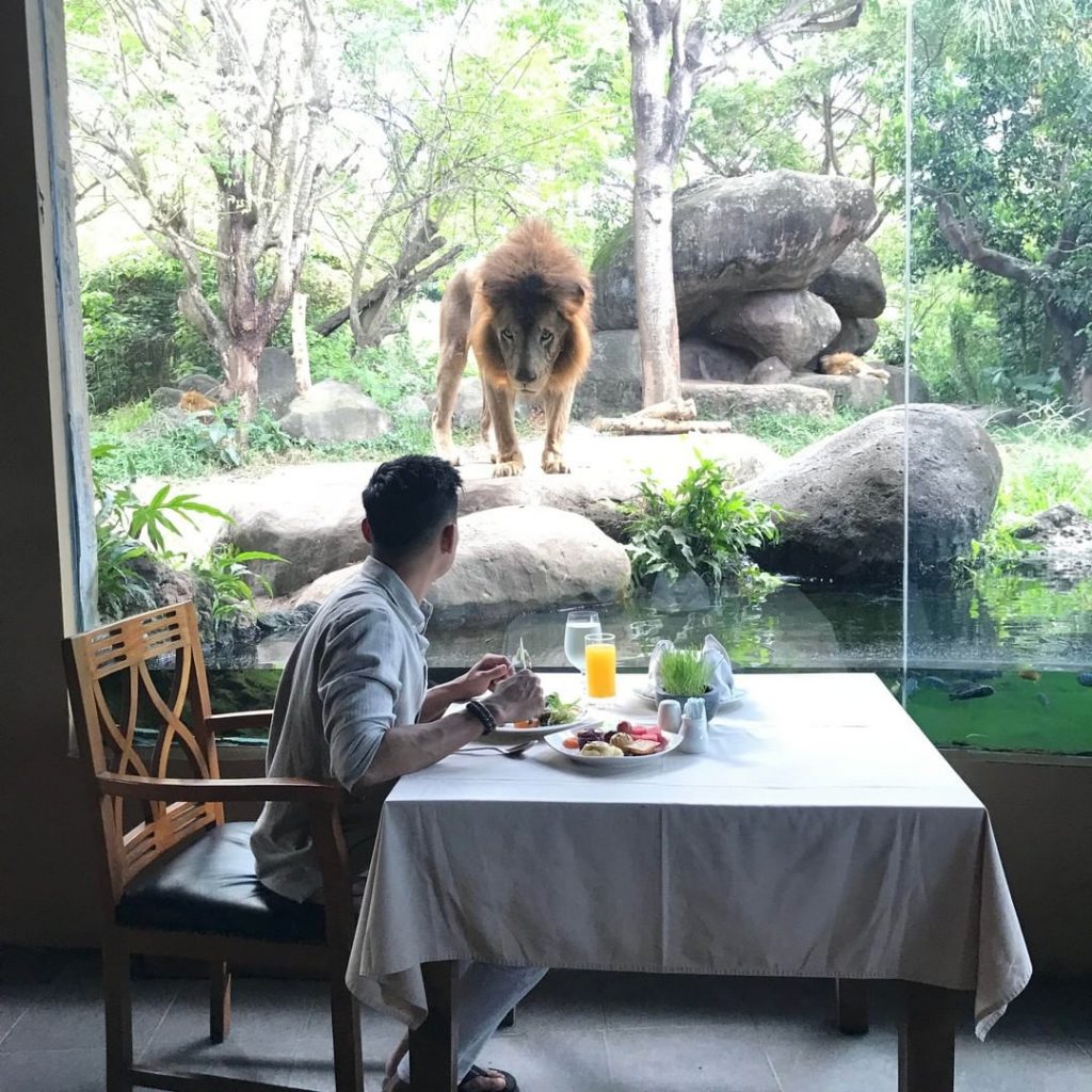 bali, bali safari and marine park, gianyar, review, lokasi, & harga tiket bali safari and marine park