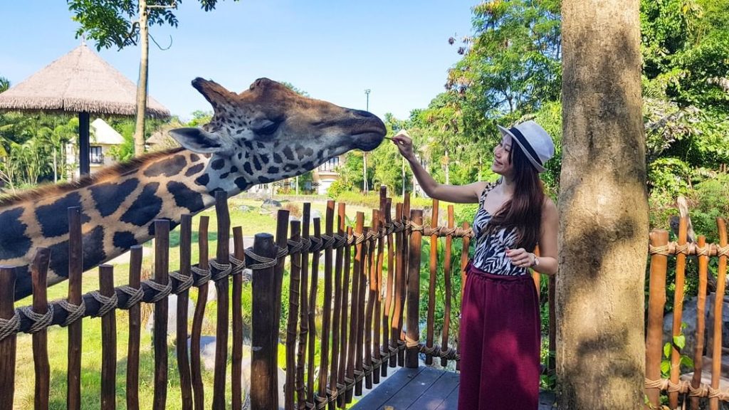 bali, bali safari and marine park, gianyar, review, lokasi, & harga tiket bali safari and marine park