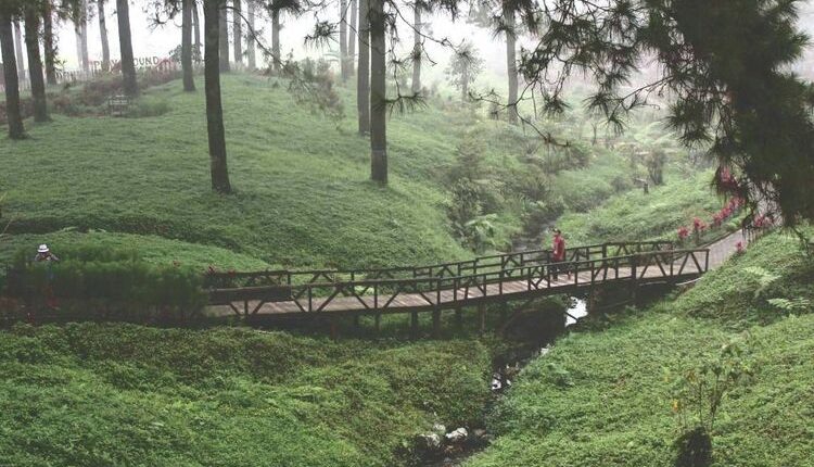 pemandangan alam yang memanjakan hati