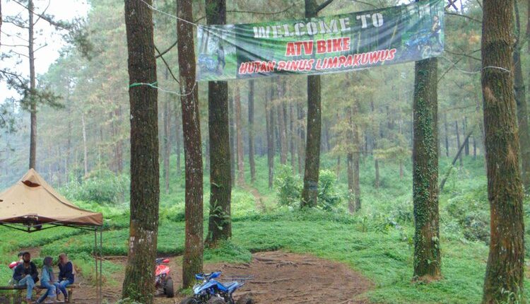 ATV di hutan pinus limpakuwus baturraden