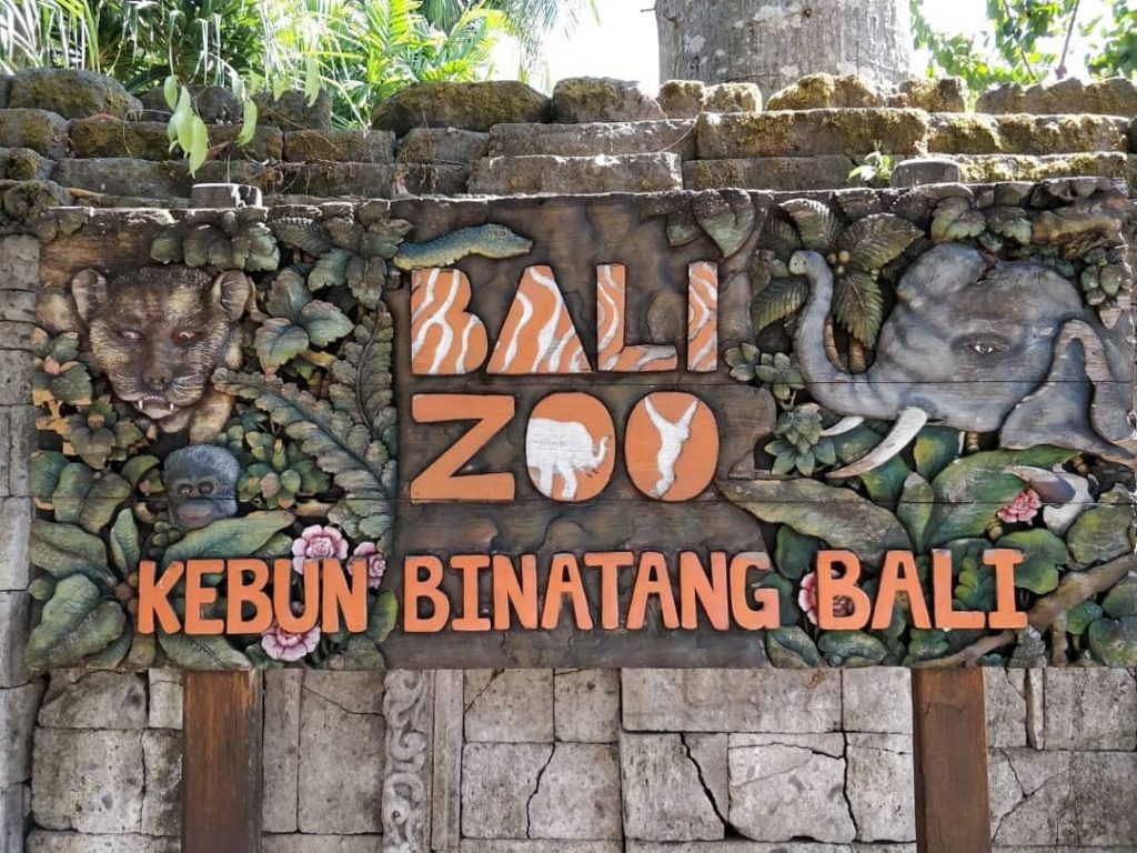 Serunya Liburan dan Berpetualang di Bali Zoo Park