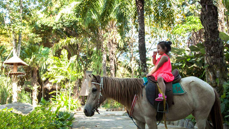 bali, bali zoo park, gianyar, serunya liburan dan berpetualang di bali zoo park