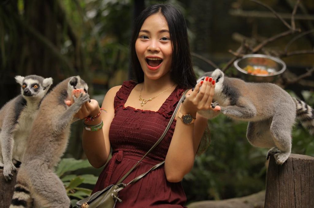 bali, bali zoo park, gianyar, serunya liburan dan berpetualang di bali zoo park