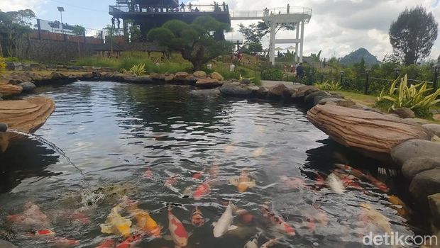 Sigandul View menyuguhkan pemandangan alam di antaranya deretan pengunungan, Temanggung, Senin (30/5/2022)., Daya Tarik dan Aktivitas Seru di Sigandul View Temanggung, Alamat Sigandul View, Harga Tiket Masuk Sigandul View 2024, Jam Buka Sigandul View 2024, Fasilitas di Sigandul View Temanggung