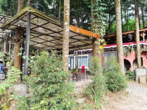 top 10+ cafe di bogor yang punya view bagus dan instagramable