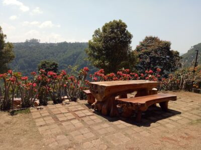top 10+ cafe outdoor di bandung yang vibesnya refreshing