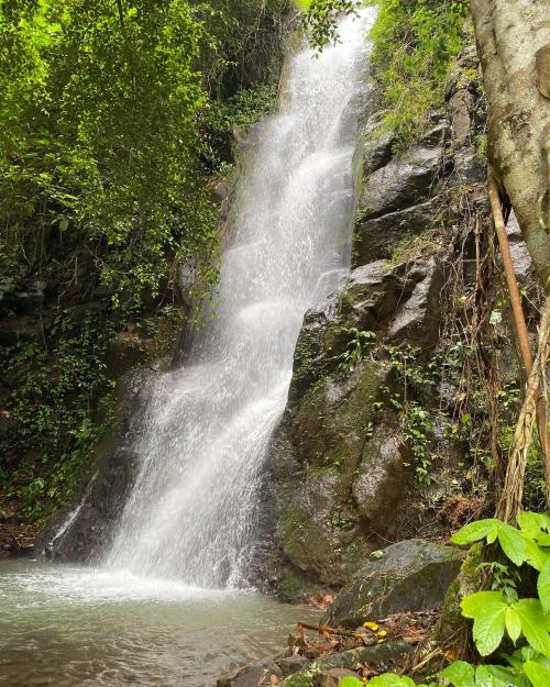 Top 10+ Destinasi Wisata Terbaik di Banjarnegara, Cocok buat Mengisi Libur Weekend