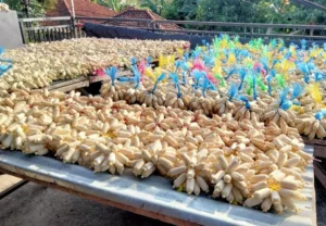 top 10+ rekomendasi oleh-oleh khas bali kekinian dan tahan lama