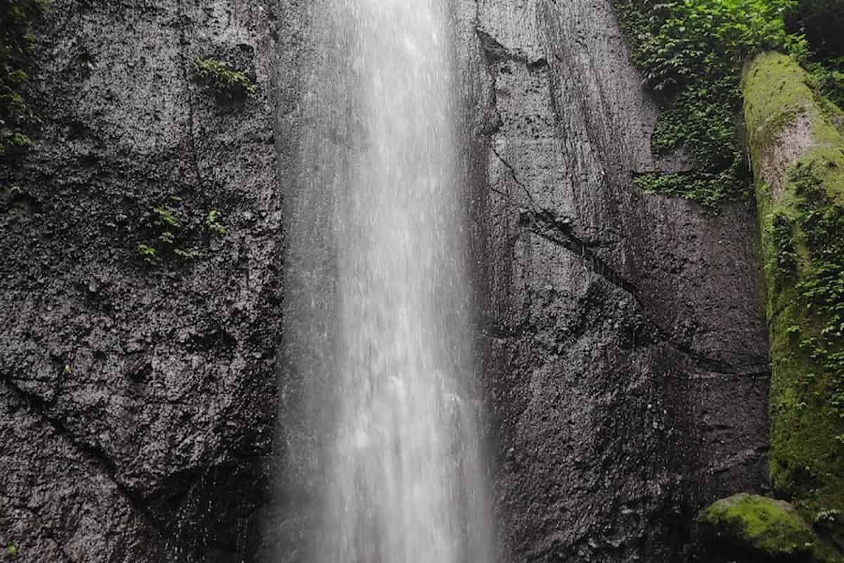 top 10+ tempat wisata kekinian di bogor yang layak dikunjungi