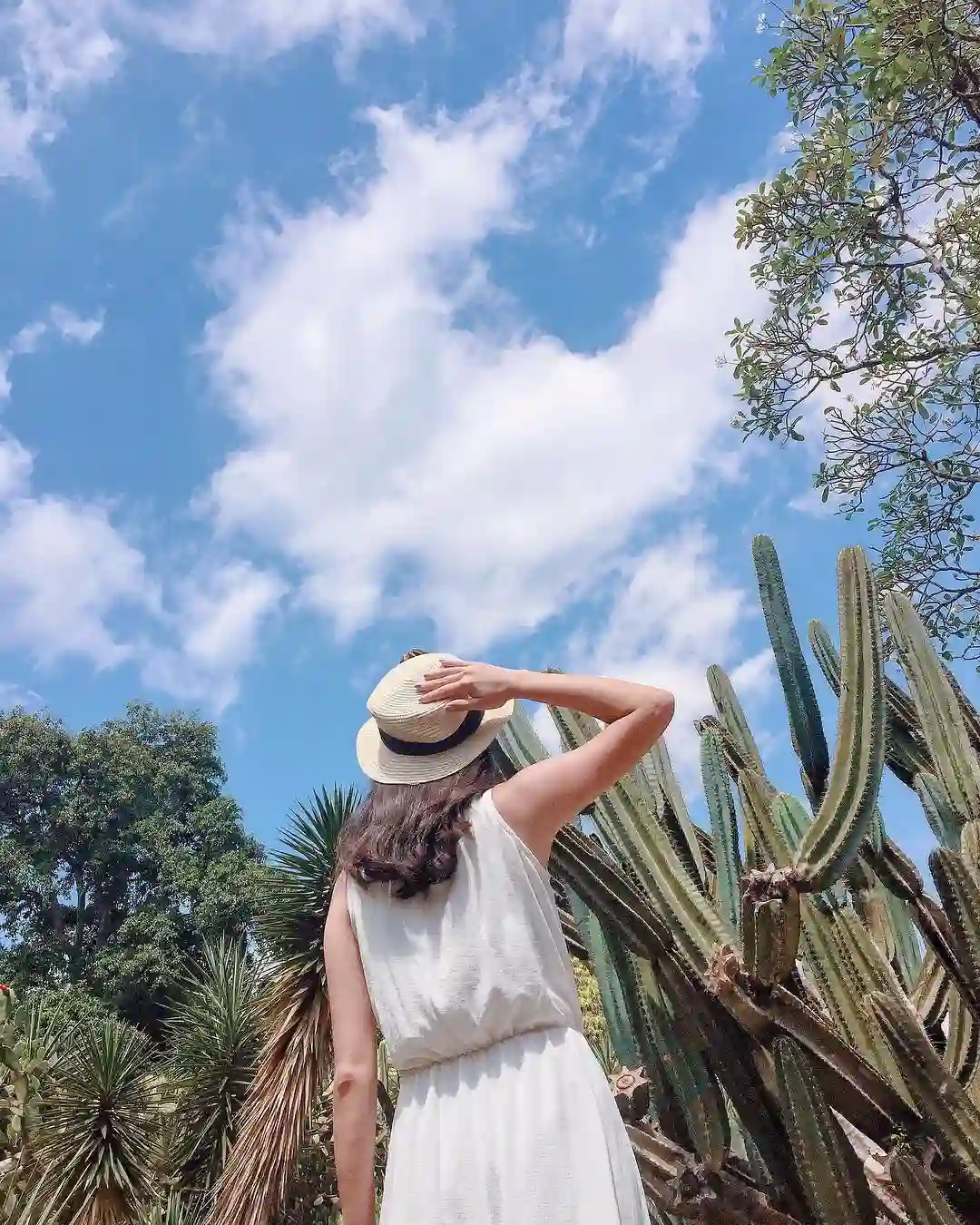 Top 10+ Tempat Wisata Kekinian di Bogor yang Layak Dikunjungi