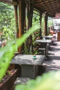 top 7+ pet friendly cafe di jakarta untuk jalan-jalan bareng anabul