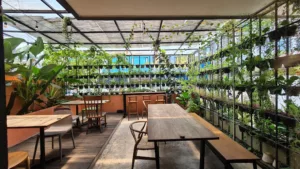 top 7+ pet friendly cafe di jakarta untuk jalan-jalan bareng anabul