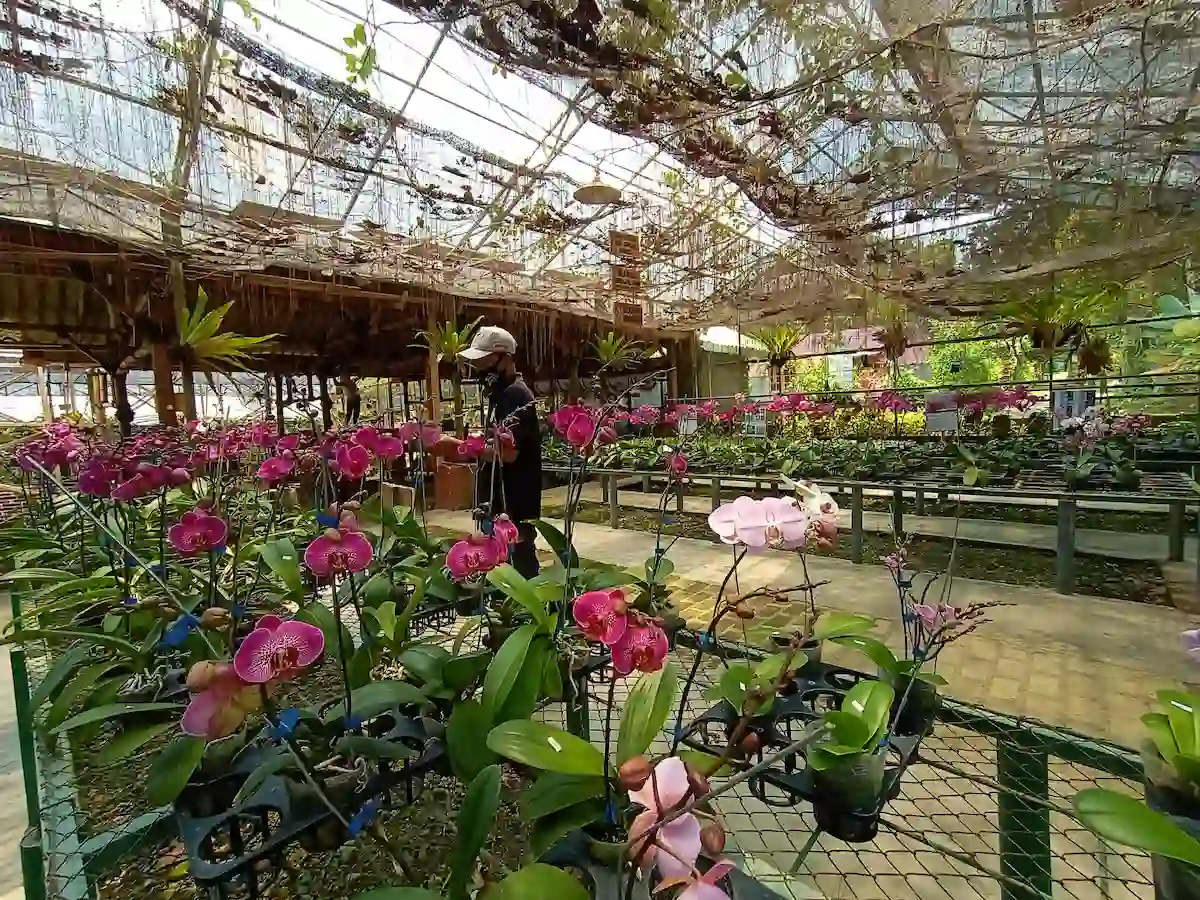 top 12+ rekomendasi tempat wisata seru di kediri, yuk cari tahu!