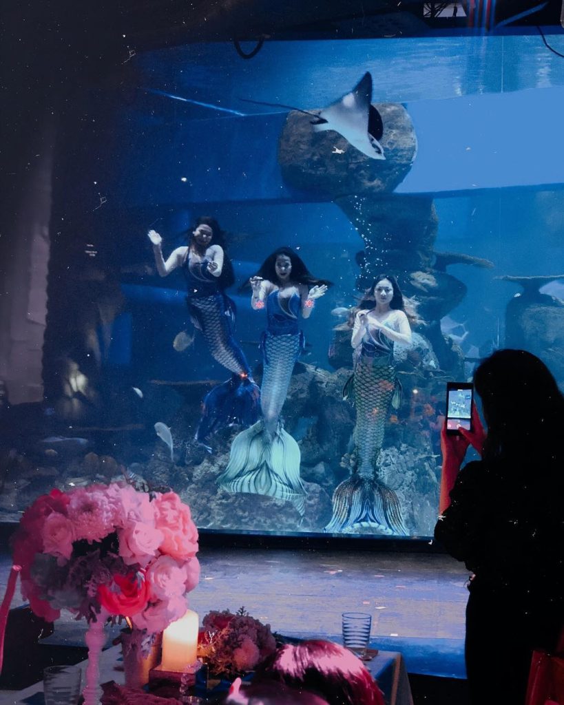 jakarta, jakarta aquarium, jakarta barat, jakarta selatan, jakarta timur, jakarta utara, kampung cina jakarta, kampung main cipulir, kebun binatang ragunan, top 12+ tempat wisata di jakarta yang paling asik dan menarik
