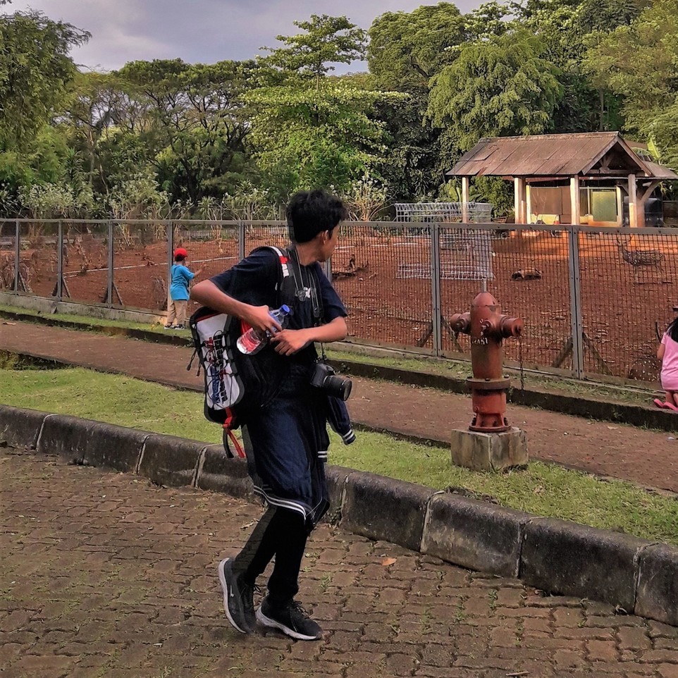 jakarta, jakarta aquarium, jakarta barat, jakarta selatan, jakarta timur, jakarta utara, kampung cina jakarta, kampung main cipulir, kebun binatang ragunan, top 12+ tempat wisata di jakarta yang paling asik dan menarik