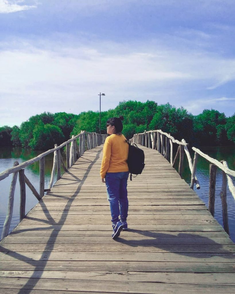 jakarta, jakarta aquarium, jakarta barat, jakarta selatan, jakarta timur, jakarta utara, kampung cina jakarta, kampung main cipulir, kebun binatang ragunan, top 12+ tempat wisata di jakarta yang paling asik dan menarik