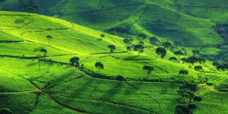 Top 12+ Tempat Wisata di Pangalengan yang Hits dan Menarik