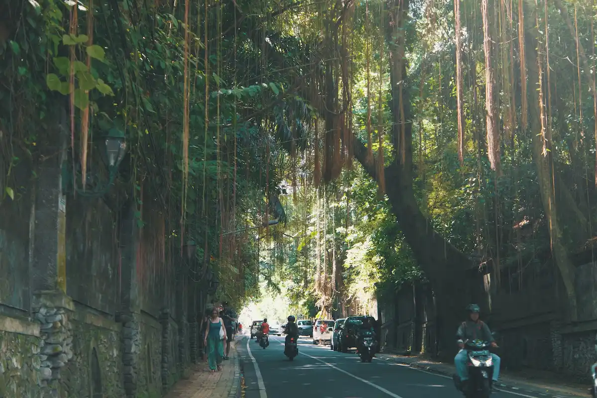 Top 15+ Tempat Wisata di Ubud yang Lagi Hit yang Wajib Kamu Kunjungi