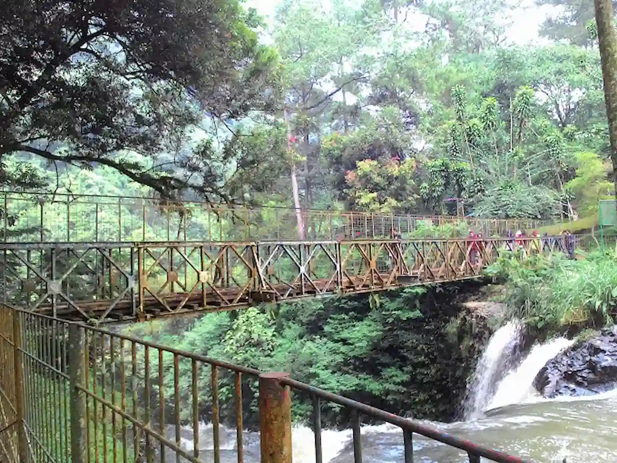 taman hutan raya juanda