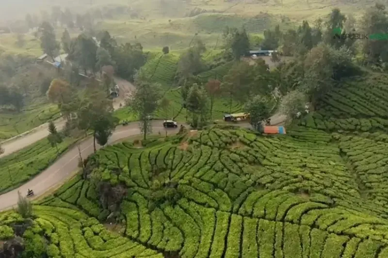 Top 19+ Tempat Wisata di Ciwidey yang Hits dan Terkenal