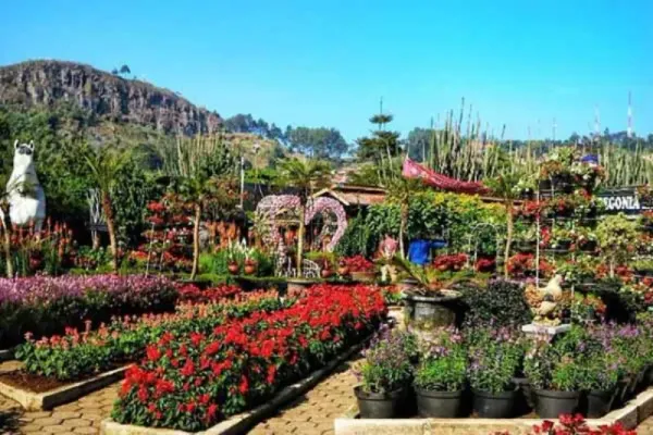 top 20+ rekomendasi tempat wisata di bandung seru dan menarik