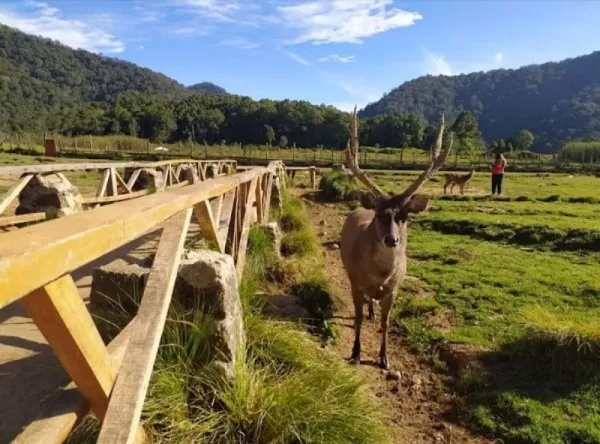 top 20+ rekomendasi tempat wisata di bandung seru dan menarik