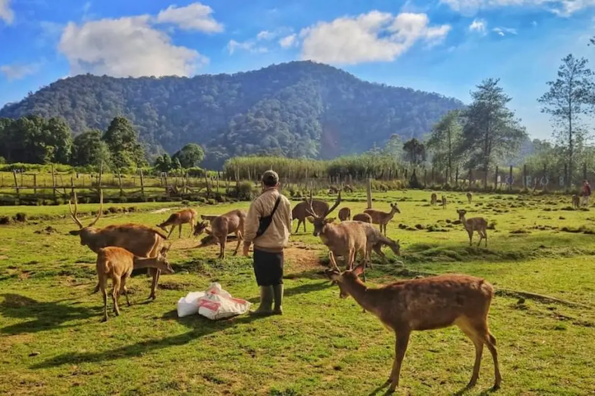 top 20+ tempat wisata bandung terbaru dan paling hits