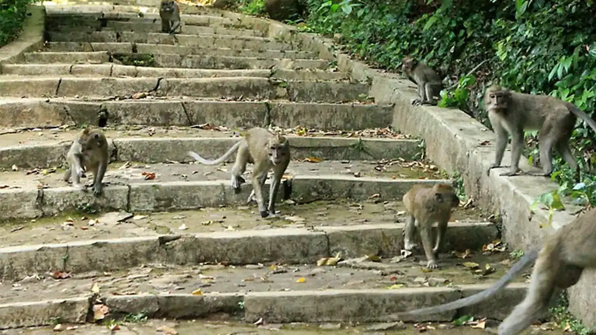top 27+ pilihan tempat wisata anak di cirebon yang paling hits