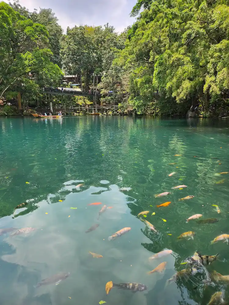 Top 27+ Pilihan Tempat Wisata Anak di Cirebon yang Paling Hits