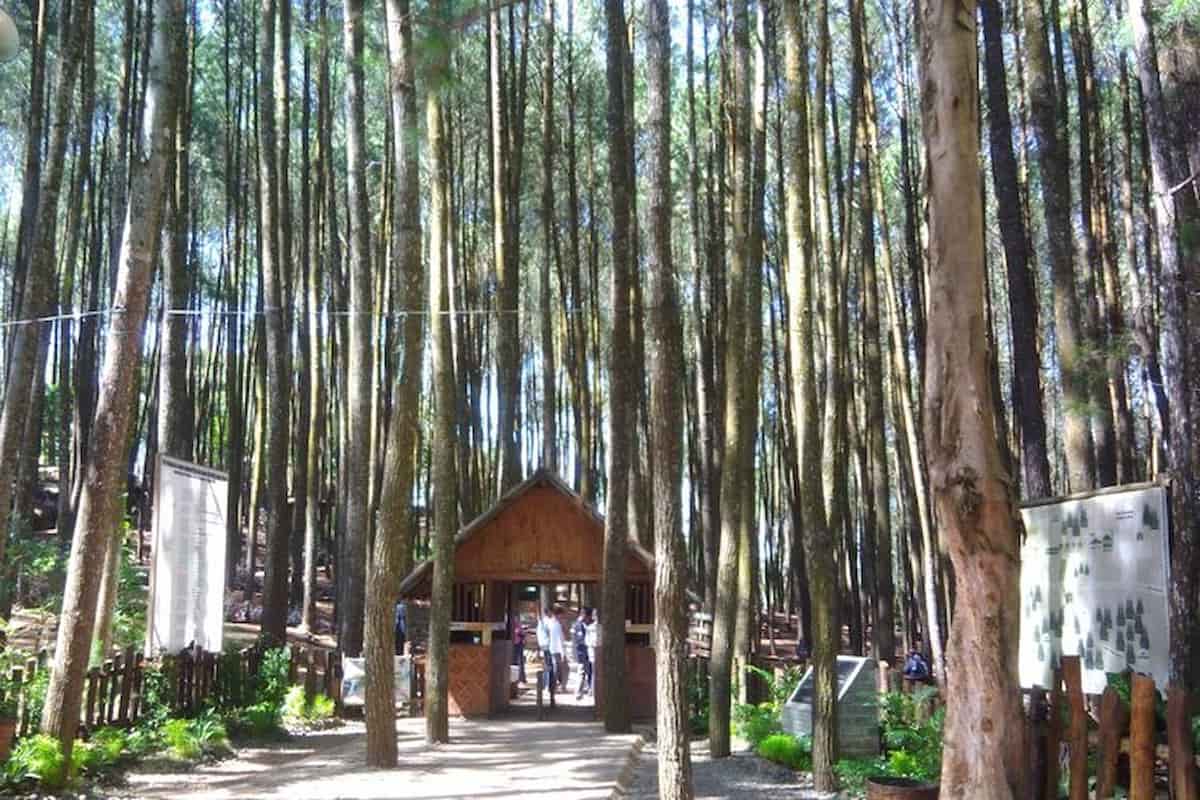 top 30+ tempat wisata jogja yang wajib dikunjungi