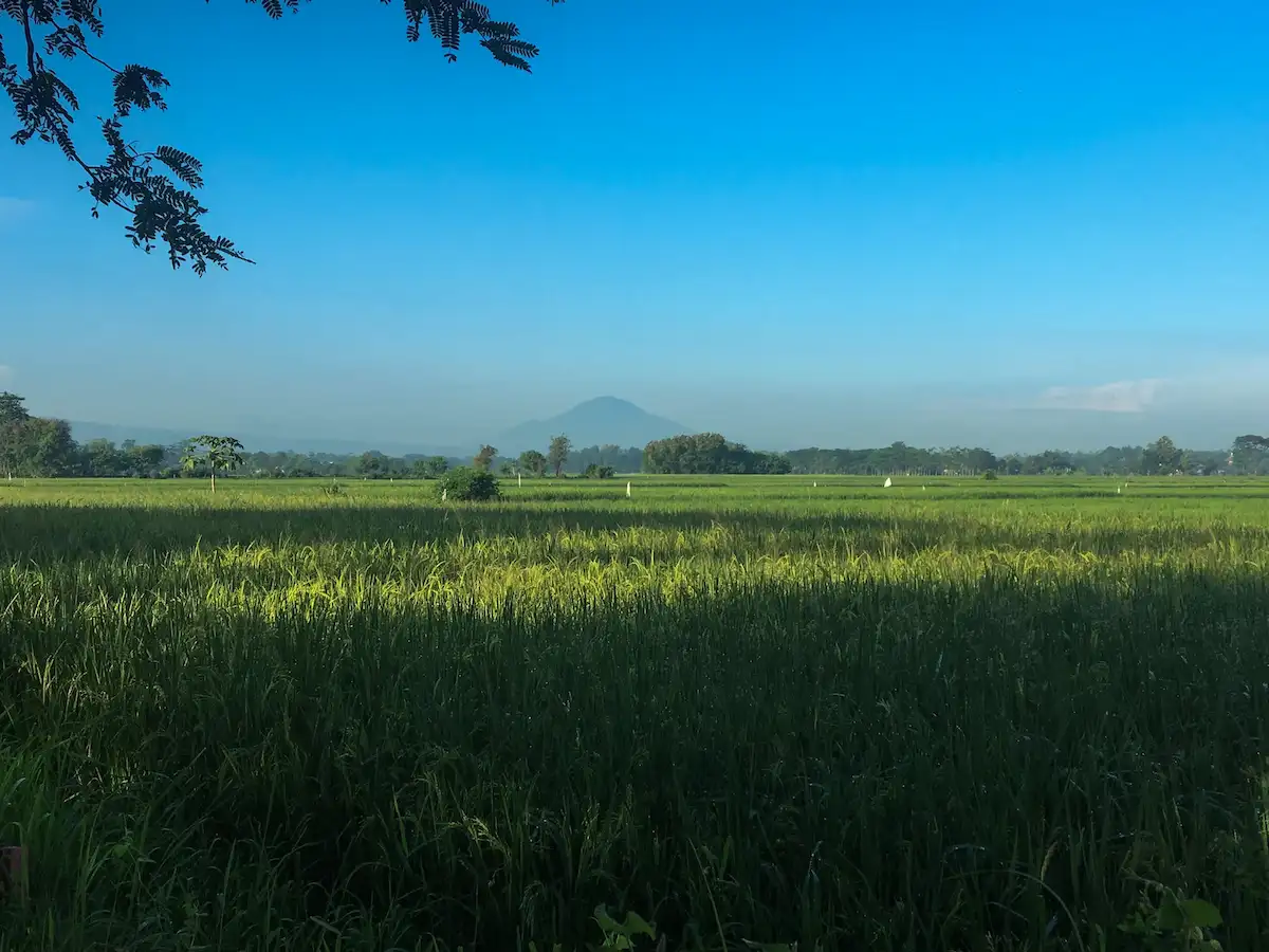 Top 4+ Pilihan Tempat Wisata Malam Probolinggo yang Menarik