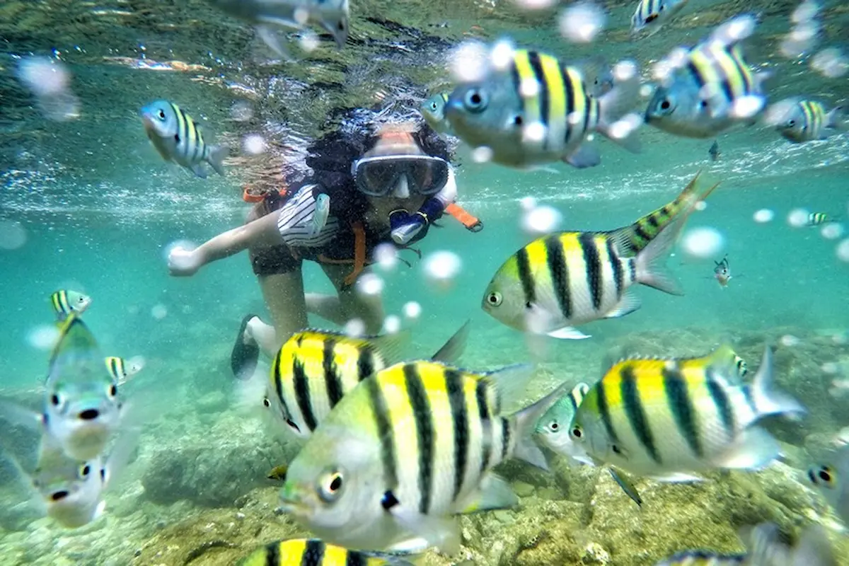 top 5+ pantai snorkeling gunung kidul dengan pemandangan paling indah