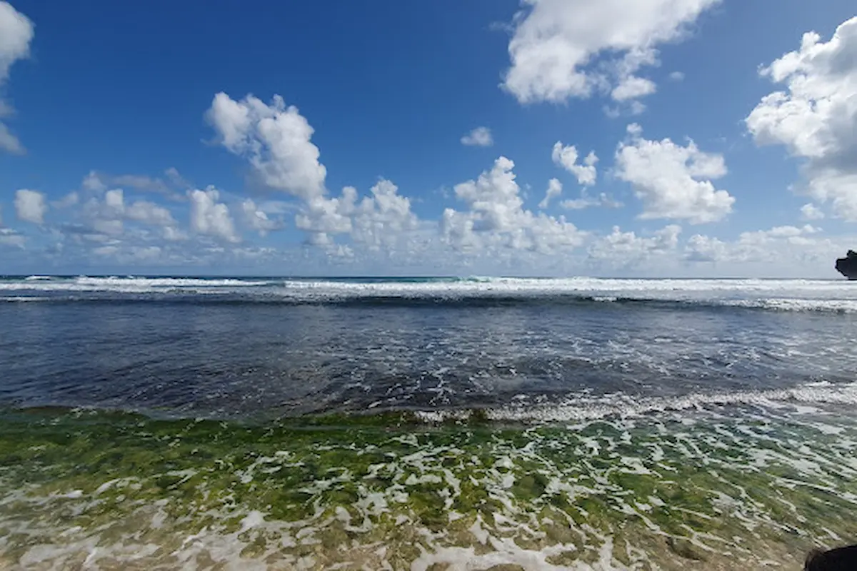 top 5+ pantai snorkeling gunung kidul dengan pemandangan paling indah