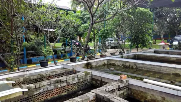 top 5+ tempat wisata di bintaro yang menarik dan wajib dikunjungi