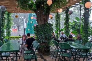 top 6+ cafe di bsb semarang dengan view bagus dan instagramable