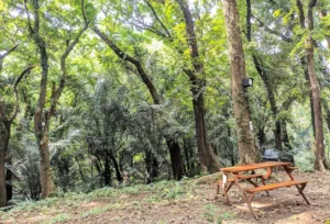 top 6+ rekomendasi cafe di ungaran view bagus dan paling hits