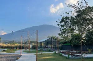 top 6+ rekomendasi cafe di ungaran view bagus dan paling hits