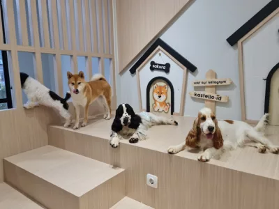 top 6+ rekomendasi dog cafe di jakarta yang anabul friendly